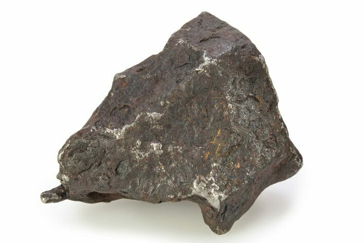 Canyon Diablo Iron Meteorite ( g) - Arizona #246906